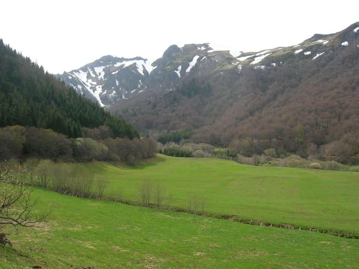 Le Monne Villa Chambon-sur-Lac Bagian luar foto